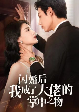 电视剧《大嫂》在线观看全集