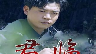 大祠堂电视剧1080p下载