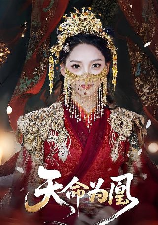 绝望主妇第一季在线免费观看