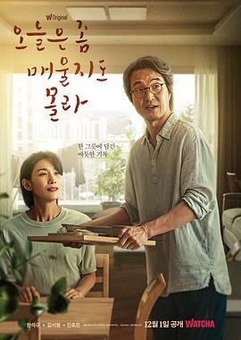 宝物岛剧情介绍全集免费观看