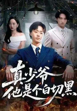 魔法灰姑娘百科