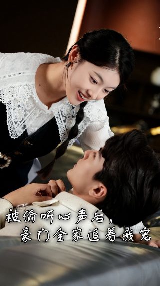 梅尔特伊 电视剧百度网盘
