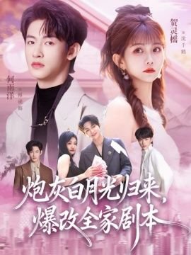 别惹我电视剧免费观看全集完整版