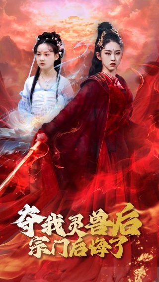 比熊和泰迪杂交犬图片