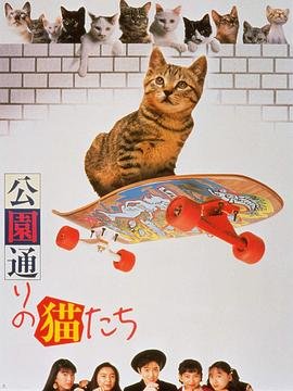 连续剧《风声》剧情介绍大全集在线观看