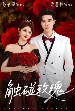 中国惊奇先生第一季下载全集观看