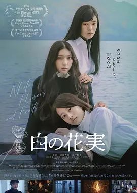 黑白森林电视剧在线观看高清版