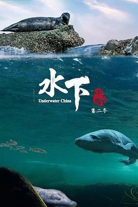 《三毛从军记》电影男孩几岁拍的