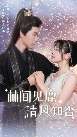 《最佳损友》电影免费观看全集下载中文字幕