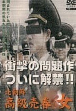女娲成长日记番外篇