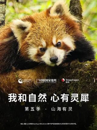 健身气功大舞mp3音乐