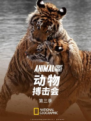《流浪地球》免费观看完整可下载