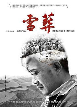 电视剧风与潮一共多少集