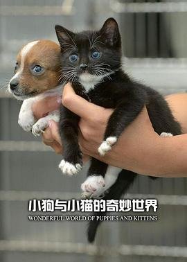 天龙诀大结局是什么电视剧里的