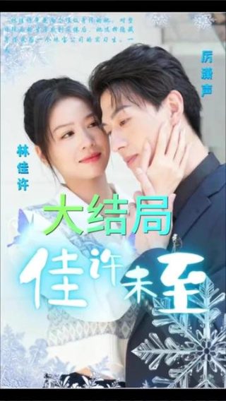 为你点餐百度云资源