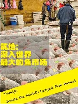 草房子主要内容300字左右作文