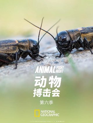 传说歌词赛尔号