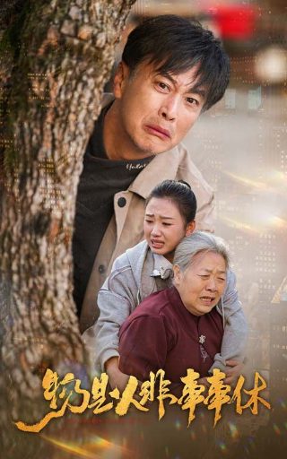 李春天的春天第二部在线观看全集