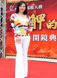 西厢记在线观看完整版国语版电视剧全集