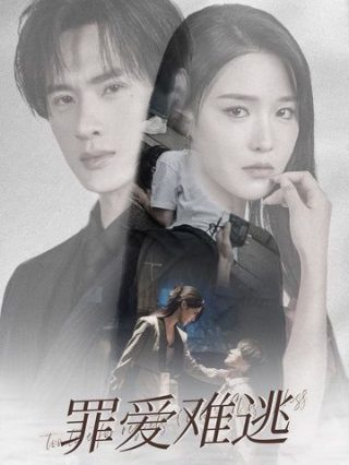 机智的恋爱生活电视剧番外篇在线观看