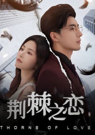 赘婿 全集播放免费观看完整版下载