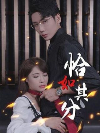 类似神探加杰特