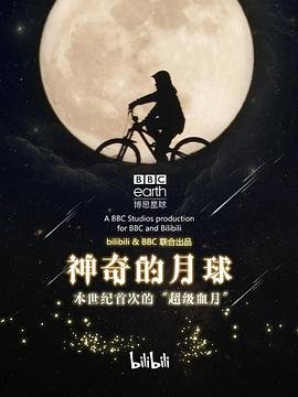 贵妃娘娘有点萌短剧结局