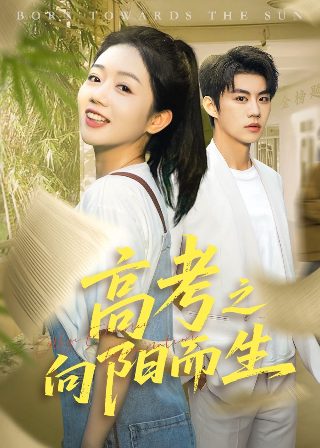 《金刚经》王菲正版视频播放全集在线观看