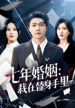 电视剧初婚免费播放下载安装视频