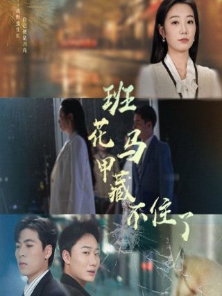 收获杂志目录内容介绍图片高清