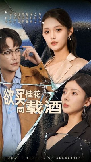 穆桂英挂帅第14集剧情
