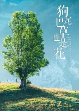 宋代足球小将第2部全集免费观看下载