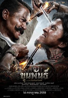 混沌之脑在线