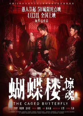 小赛罗动画片免费观看