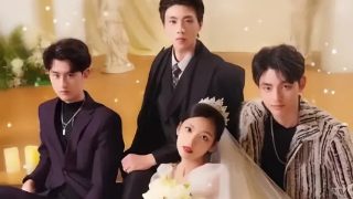 免费千与千寻