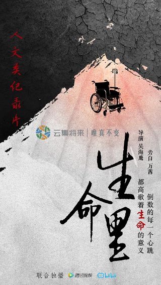 鲁莽的麋鹿西奥多罗斯福传