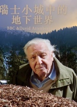 默默守护歌曲