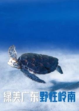 《斗罗大陆》第二集148集免费观看视频下载