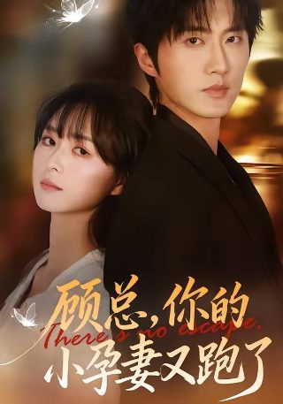 《爱之女巫》完整版在线观看中文电影网站