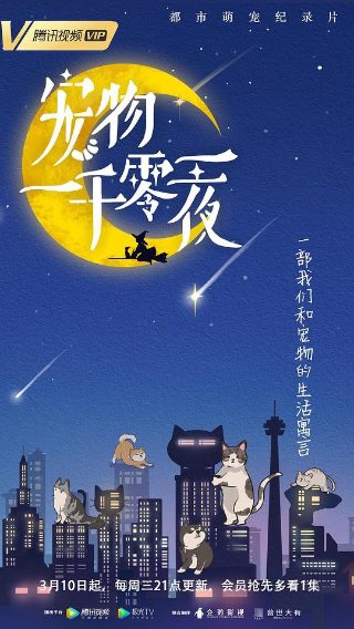 悲伤时爱你第11集免费观看全集下载百度云资源