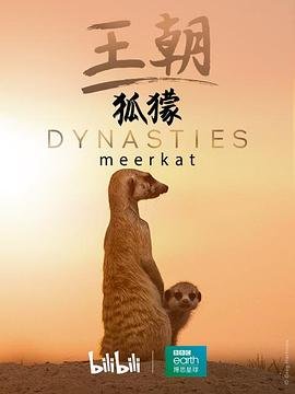 玛丽完整版免费观看