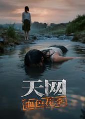 城寨英雄第二部剧情介绍大结局是什么