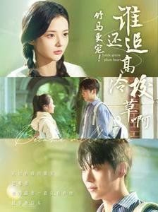 新娘大作战下载免费观看全集电视剧视频