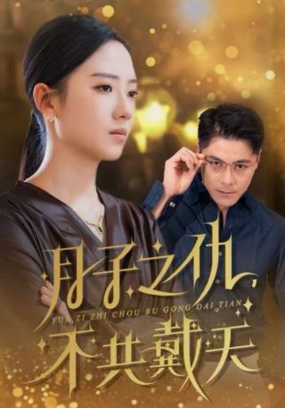电影阁楼主演