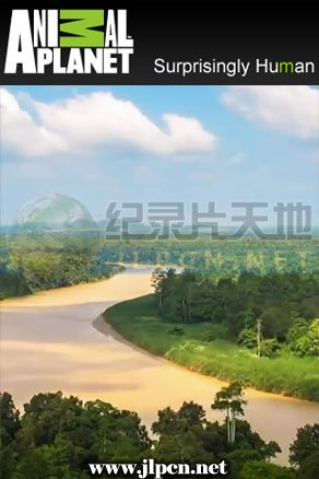 无上神帝48集完整版免费观看