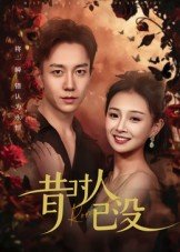 在灰烬中等你