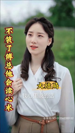 二流太傅之楼兰玉麒麟