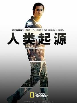 青春舞曲教案分析