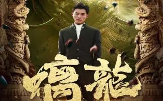 电视剧热血忠魂之独行侍卫