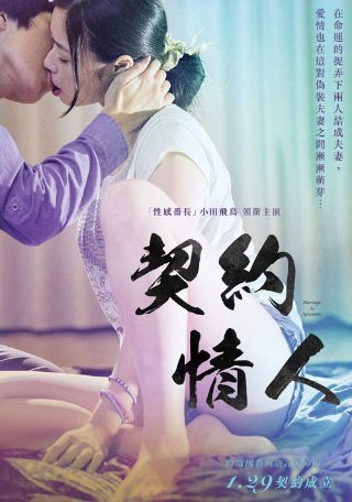 儿女的战争电视剧免费
